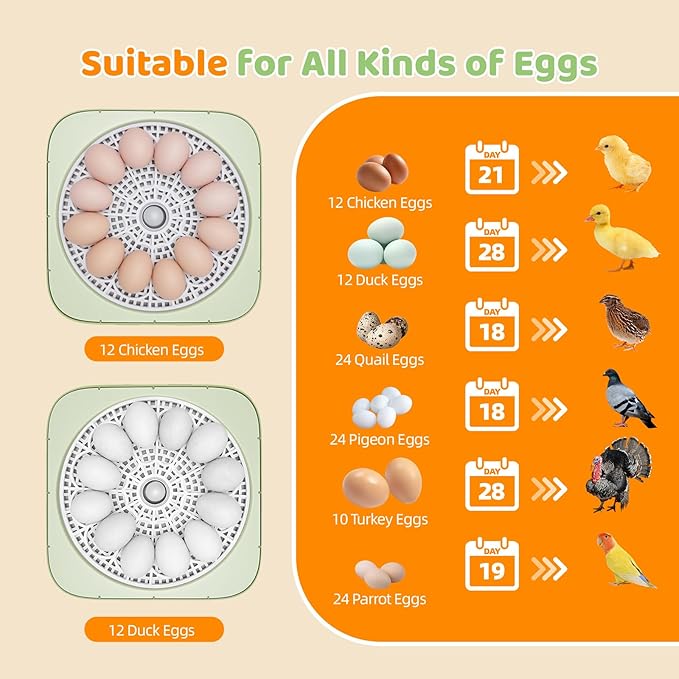 Fully Automatic Egg Incubator for Hatching Eggs, Auto Water Refill & Turner, 12 Egg Capacity (24 Quail), LED Candler, Fahrenheit Display Hatcher for Chickens Ducks Birds, Beginner Friendly