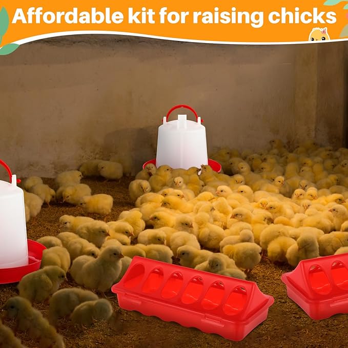 12 Pack Chicken Feeder and Waterer Set Bird Small Poultry Feeder Flip Top Bird Small Poultry Feeding for Pigeon Chick Drinker Duckling Quail Feeding Dispenser (1.5 L,Red)