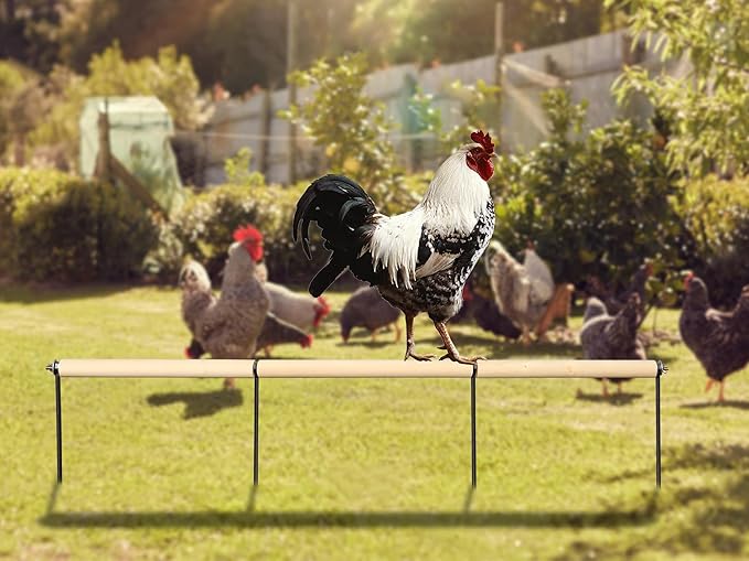 Chicken Coop Accessories, Extra Long Wooden Chicken Roosting Perch with Metal Stakes, Roosting Bars for Chickens in Coop, Chicken Enrichment Toys