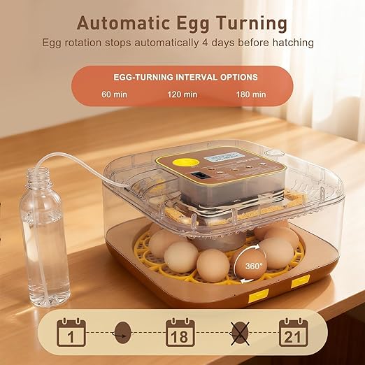 4th Gen - 12 Egg Fully Automatic Incubator, 2026 Upgraded Design, Intelligent Sensor-Based Humidity & Temp Control, Custom Hatch Days, Adjustable Auto Turning with Auto-Stop, 360° View, Alarm, Candler