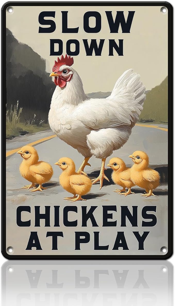 Funny Chicken Signs Slow Down Chickens At Play,chicken Crossing Aluminium Sign Metal Chicken Signs Decor Home Ktichen Farm Are Wall 12x16 Inch Chicken Signs For Coop Metal Tin Signs Poster