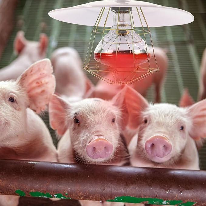 250W Chicken Coop Heater Heat Lamp for Chickens Livestock Brooder Lamp with Metal Guard Waterproof Heating Light for Dog House Winter Chick Poultry