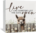 Live like Someone Left the Gate Open Alpaca Wooden Signs,Farm Cottagecore Animal Office Kitchen Bedroom Decor,Rustic Farmhouse Home Decor Signs,Alpaca Gifts for Women