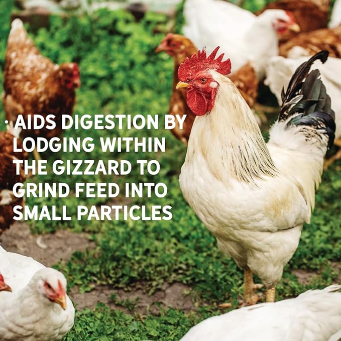 New Country Organics | Flock Perfect Starter Grit for Chicks to Help aid in Digestion | 8 lbs
