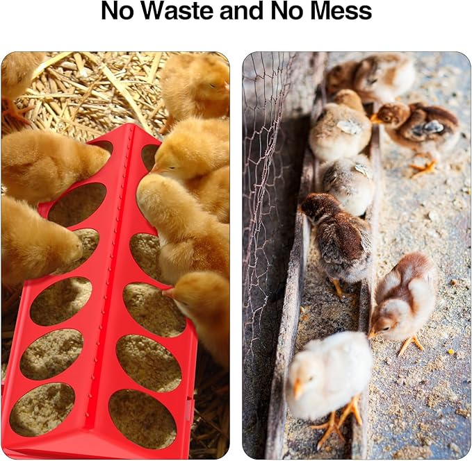 Chick Feeder and Waterer Kit, Chick Feeder Trough and 0.3 Gallon Chick Waterer, No Waste Baby Chick Starter Kit for Chicks, Ducks, and Quail