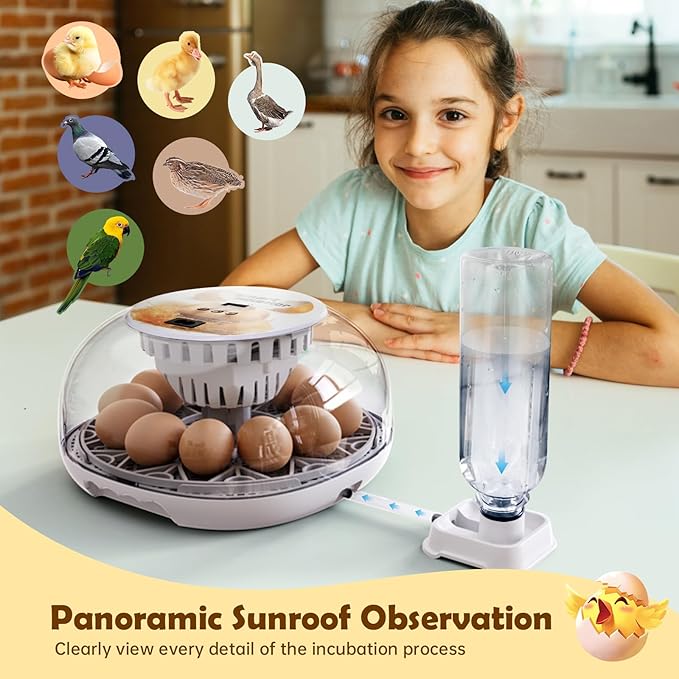 Egg Incubator for Hatching Chicks, Automatic Egg Turner Holds 12 Eggs, Smart Incubator 360° Clear Window with Temperature Display Egg Candler for Small Poultry Chickens Ducks Quails Eggs