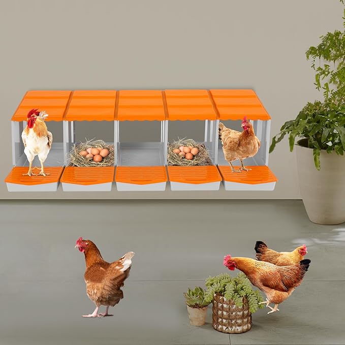 Chicken Nesting Boxes 5 Compartment PP Nesting Box with Inclined Nesting Boxes & Vented Holes Wall Mount Chicken Laying Boxes for Chicken Coop (Orange)