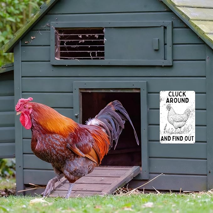 Farmhouse Kitchen Decor Chicken Themed Gifts Funny Quotes Metal Poster Outdoor Chicken Coop Vintage Metal Sign 8×12 Inches For Yard Home