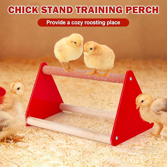 9pcs Chick Feeder and Waterer Kit, Baby Chick Starter Kit with Chick Perch for Small Poultry Ducks Quail