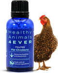 HA4E - Chicken Injury Supplement - Supports Recovery from Accidents & Injuries - Highly Effective, Natural Homeopathic Tablets - 300 Count