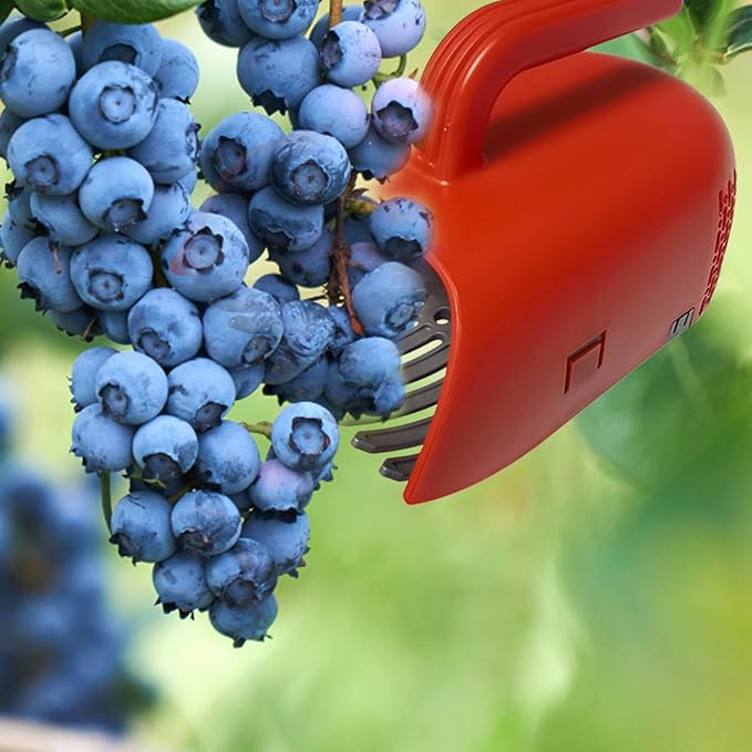 Cherry Berry Picker, Ergonomic Handheld Comb and Scoop Tool, Harvest Berries,Cherries Efficiently, Collect Leaves Fruit or Lawn Debris, Outdoor Gardening Tool for Trees Plants Orchard Farm Backyard