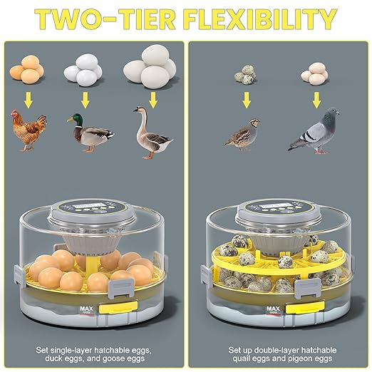 Incubators for Hatching Eggs with Automatic Egg Turner, Temperature Humidity Control, Egg Candler, Large Water Tank, 5 Preset Hatching Modes for Chicken Duck Goose Quail Pigeon Eggs-12 Capacity