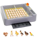 Automatic Egg Incubator, Automatic Egg Turner with Thermometer Control & Humidity Control, Egg Candler, 360°View,Incubator for Hatching Chicks-36 Egg Capacity