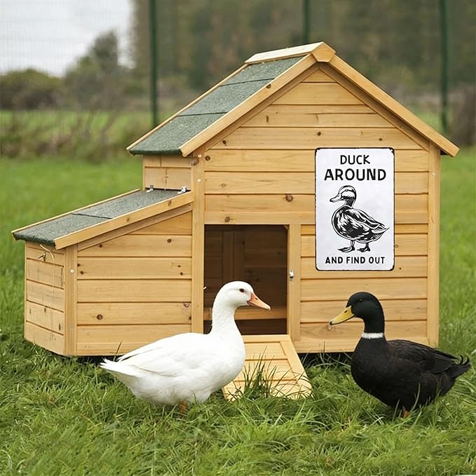 Metal Signs Duck Around And Find Out Sign Vintage Aluminum Tin Sign for Home Farmhouse Farm Wall Decor 12x8 Inch