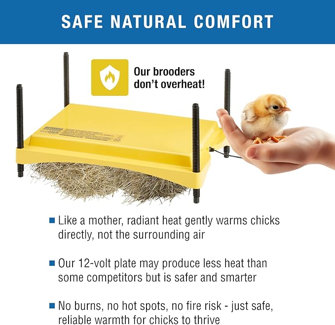Brinsea Ecoglow Safety 1200 Chick or Duckling Brooder, Adjustable Height & Angle Brooder Plate, Ideal for Chicken Coops Poultry Heating with Safety Indicator, 18 Watts