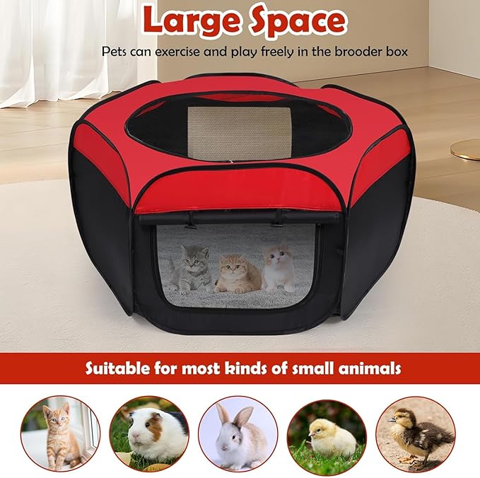 Chicken Brooder Box Double Door Playpen, Baby Chick Duck Quail Starter Kit, 15 Bird Capacity