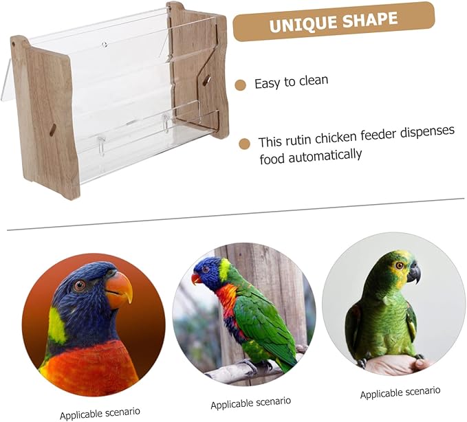 VANZACK Rutin Automatic Poultry Food Feeder Transparent Multi Use Chicken Feeding Box for Parrots and Birds Easy Installation for Home and Professional Use