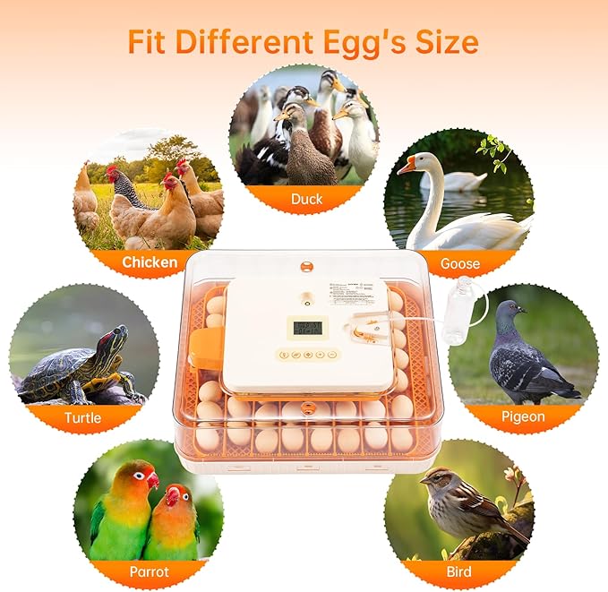 56 Egg Incubator for Hatching Eggs–Smart Auto Turner & Humidity Control, 360° View, Built-in Candler |Hatching Kit with Chick Helmet for Chicken, Duck, Quail | Ideal for Home & Classroom