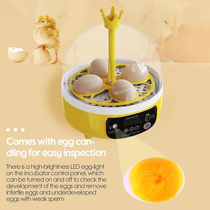 Tissting Mini Compact Egg Incubator Holds 4 Large or 8 Quail Eggs USB Powered with Auto Features - Auto Egg Turner with Temperature Control & Egg Candler for Chicken Duck Quail Eggs