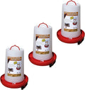 Farm Innovators 3 Pack Heated Chicken Waterer, Poultry Water Fountain, 3 Gallon