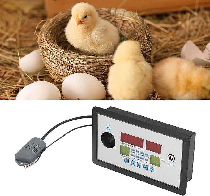 plplaaoo Intelligent Incubator Thermostat,DC 12V 100W Egg Incubator Temperature Controller, Digital Automatic Egg Hatching Incubators Controller for Hatching Duck Eggs Goose Egg