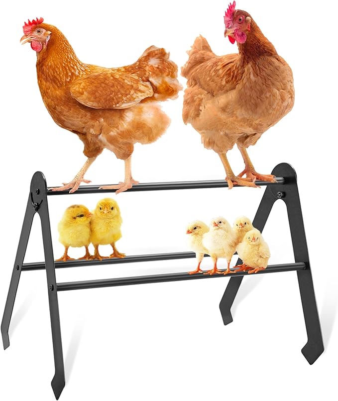 Adjustable Chicken Perch for Coop - Metal Chicken Roosting Bars for Hens, Chicks & Pullets - Heavy Duty Brooder Roost Set (Black) - Fits All Chicken Coops & Farms