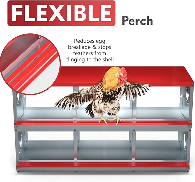 Chicken Nesting Boxes - 6 Compartment Metal Poultry Nest Box Wall Mount for Chickens, Hens, Ducks - Easy Egg Collection - Large Vented Holes Chicken Coop Equipment (6 Compartment)