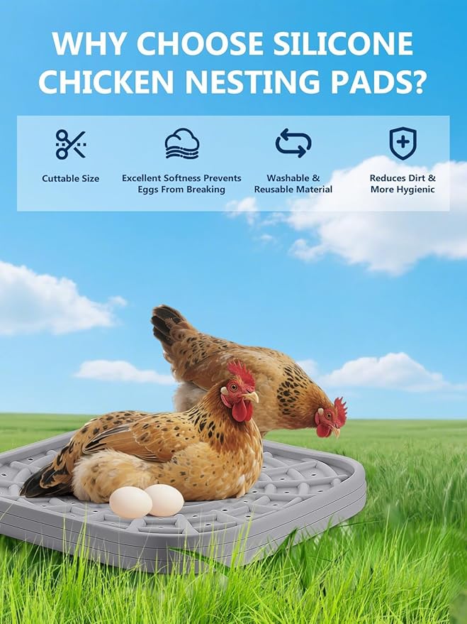 Kalolary 6 PCS Silicone Chicken Nesting Box Pads, 12"x 12" Nesting Pads for Chicken Coop Washable Nesting Box Liners for Chicken Laying Boxes Soft, Easy Clean, Gray