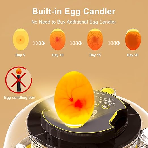 Incubator for Hatching Eggs-18 Egg Capacity, Automatic Egg Turner, Temperature & Humidity Control, 360° Viewing for Chicken, Duck and Quail Eggs