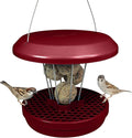 SWISSINNO Bird Feeders - No Mess Fat Ball/Suet Feeder for Outdoors Hanging - Smart Birds Lucerne Spill Proof Wild Cardinal Bird Feeder with Integrated Seed Catcher Tray - Burgundy