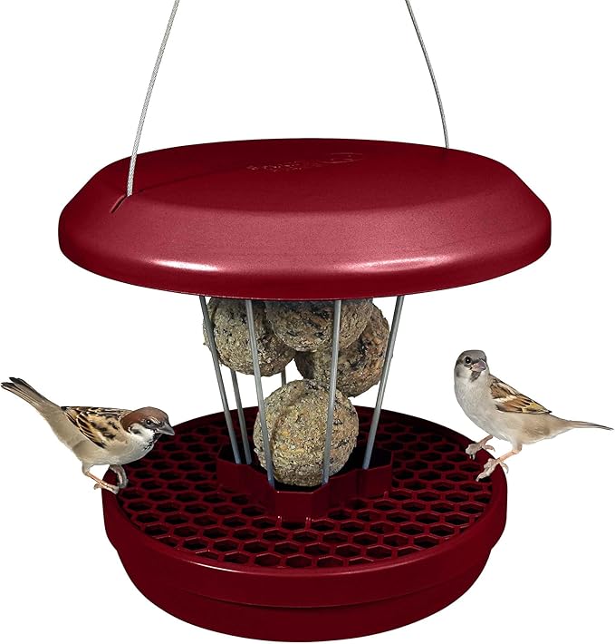 SWISSINNO Bird Feeders - No Mess Fat Ball/Suet Feeder for Outdoors Hanging - Smart Birds Lucerne Spill Proof Wild Cardinal Bird Feeder with Integrated Seed Catcher Tray - Burgundy