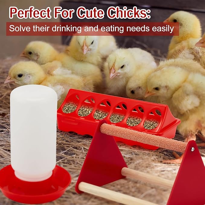 Patelai 4 Pcs Chick Feeder and Waterer Kit Feeding Supplies with Mini Perch Chicken Starter Kit for Coop and Brooder for Small Poultry Ducks Quail