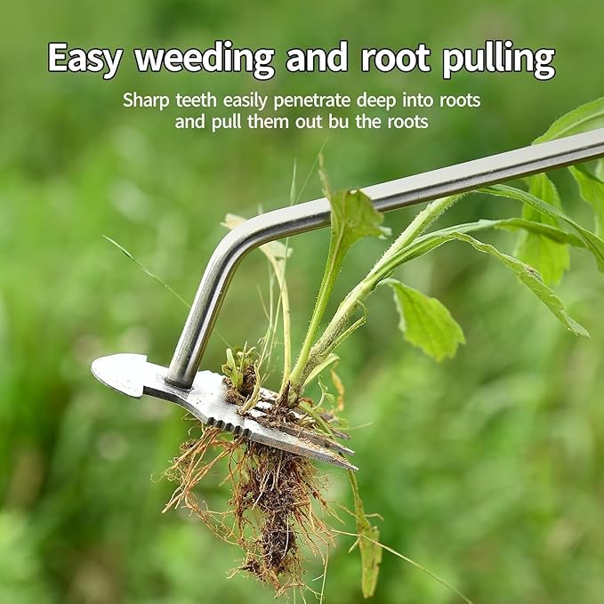 Weed Puller Tool,Weeding Artifact Uprooting Weeding Tool 4 Teethes Dual Purpose Manual Hand Weeders Tool for Gardening Vegetable Backyard Farm Planting(Wooden Handle)