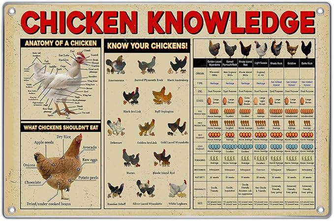 Chicken Knowledge Educational Metal Sign 12 x 8 Inch Wall Decor Chart With Anatomy Breeds And Feeding Guide For Farmhouse Kitchen Garage Coop Indoor Aluminum