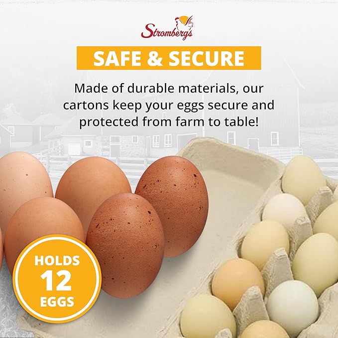 Stromberg's Large Blank Flat Top Chicken Egg Cartons, Perfect for Personalization, Eco-Friendly and Biodegradable, Made From Recycled Materials, Ideal for Farmers and Crafters, 100 Pack