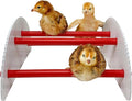 Pecking Order 9590 N-Play Chick brooder Accessory, Red