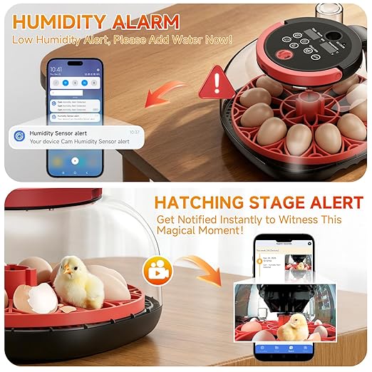 12 Egg Incubator WiFi with Camera, Humidity and Temperature Control, APP Notification, Egg Candler, Automatic Egg Turner, Smart Incubators for Hatching Eggs, Chicken, Duck, Pigeon and Quail