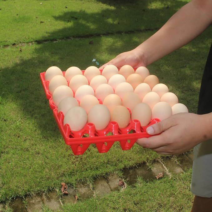 8 Packs Large Plastic Egg Tray 30-Grid Egg Crates Stackable Egg Cartons Reusable Egg Holder Big Egg Container for Home Chicken Farmers