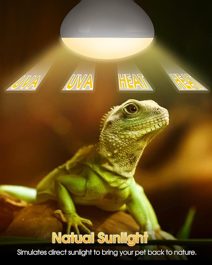 Reptile Heat Lamp Bulbs -100W UVA Natural Daylight Heating Lamp Basking Bulb for Bearded Dragon, Basking Spot Floodlight Light for Reptiles, Lizard, Turtle, Snake Bathroom, Plants,Chickens Pets,2 Pack