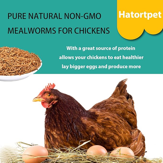 Dried Mealworms 20LB Pure Natural Non-GMO Mealworms for Chickens High Protein Chickens Feed Meal Worms for Laying Hens Wild Birds
