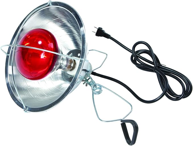 Little Giant® Brooder Reflector Lamp | Heat Lamp for Baby Chicks | 10.5 inch | 250 Watt | Egg Heat Light