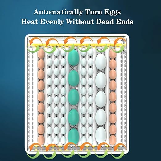 Digital Egg Incubator with Automatic Turning, Temperature & Humidity Control for Chicken Duck Goose Quail(1 Layer)