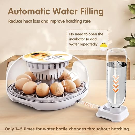 Incubators for Hatching Eggs Quail Egg Incubator 12 Eggs with Automatic Egg Turning and Humidity Control 360° Viewing for Chicken, Ducks, Goose, Pigeon for Lab Farm and Home