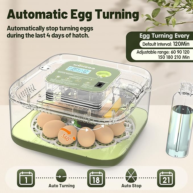 12 Egg Incubator with Automatic Egg Turning and Humidity Control, LED Egg Candling Light, Customized Incubation Days, Incubators for Hatching Eggs, Chicken Quail Parrot Pigeon Birds, Green