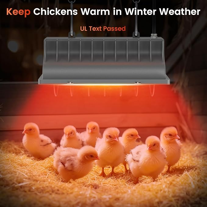 Chicken Coop Heat Lamp, 300W Brooder Heater for Chicks 9.84ft Cord UL Passed Heating Plate & Heat Lamp with Adjustable Hanging Height for Livestock Supplies Indoor Warmer(2 Pack)