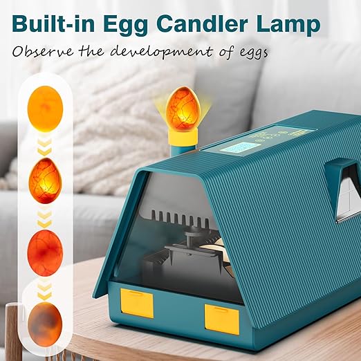 Incubator for Hatching Chicks, 10 Eggs Incubators with Automatic Egg Turning, Temperature and Humidity Control, Egg Candler, Hatching Incubator for Small Poultry, Chicken, Ducks (10 Eggs)