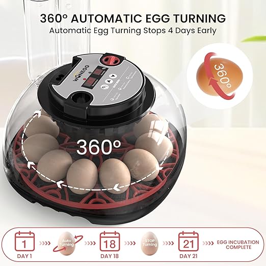 12 Egg Incubator for Hatching Chicken/Quail/Duck Eggs, Auto Turning, Digital Humidity/Temp Control, LED Candler, Auto Water Refill, 360° View (Smart Sensor)