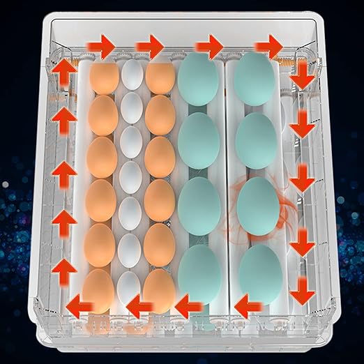 Eggs Incubator, 64 Eggs LCD Digital Automatic Incubator with Egg Turning and High-Temp Alarm, Double Power Supply Household Mini Incubator Box for Chickens Ducks Goose Birds