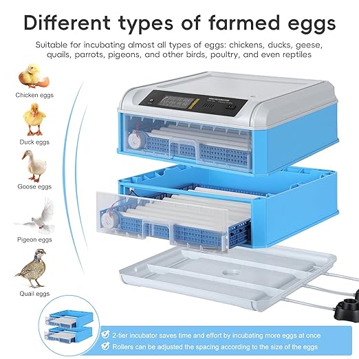 120 Egg Incubator with Automatic Turning & Humidity Control – Dual Power 110V/12V for Home & Car, Adjustable Trays for Chicken Duck Quail, Digital Display, High Hatch Rate (Blue Double-Layer)