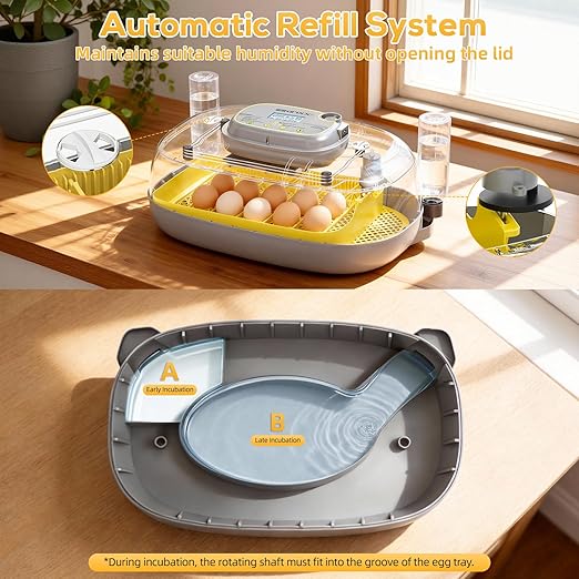 Incubator for Hatching Eggs-24 Egg Capacity, Automatic Egg Turner, Temperature & Humidity Control, 360° Viewing for Chicken, Duck and Quail Eggs